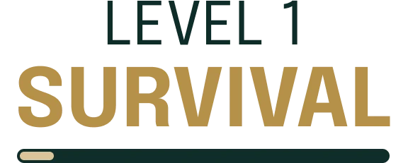 Banner do Level 1