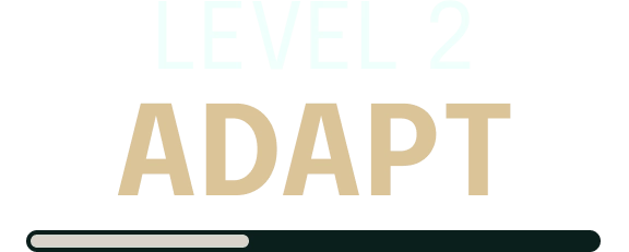 Banner do Level 2