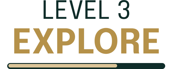 Banner do Level 3